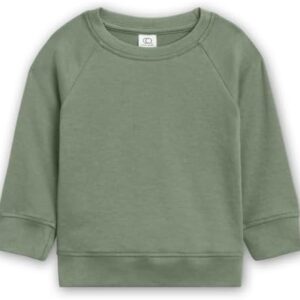 Colored Organics Baby Organic Cotton Infant Lightweight Pullover Top - Thyme Green - 4T