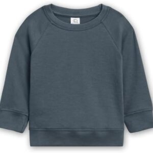 Colored Organics Baby Organic Cotton Infant Lightweight Pullover Top - Harbor - 18-24 Months
