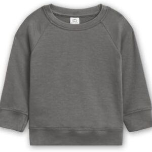 Colored Organics Baby Organic Cotton Infant Lightweight Pullover Top - Pewter - 12-18 Months