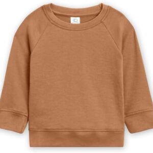 Colored Organics Baby Organic Cotton Infant Lightweight Pullover Top - Ginger - 2T