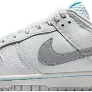 Nike Dunk Low Men Summit White/Metallic Silver HQ3619-121 Size 9.5