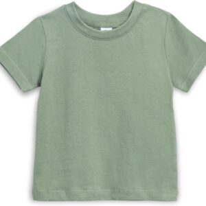 Colored Organics Infant Toddlers and Kids Organic Cotton Short Sleeve Crew Neck Tee Shirt - Thyme - 6 /