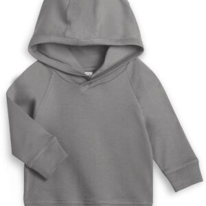 Colored Organics - Organic Cotton Long Sleeve Baby & Toddler Hoodie Pullover Shirt - Madison Hooded Top - Pewter 12-18M