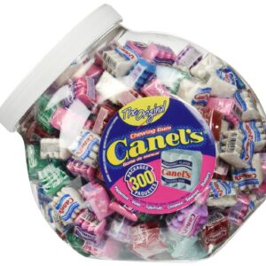 Canel's The Original Chewing Gum 6 Flavors Assortment 300 Count Tub NET WT 3 Lbs 4.91 OZ